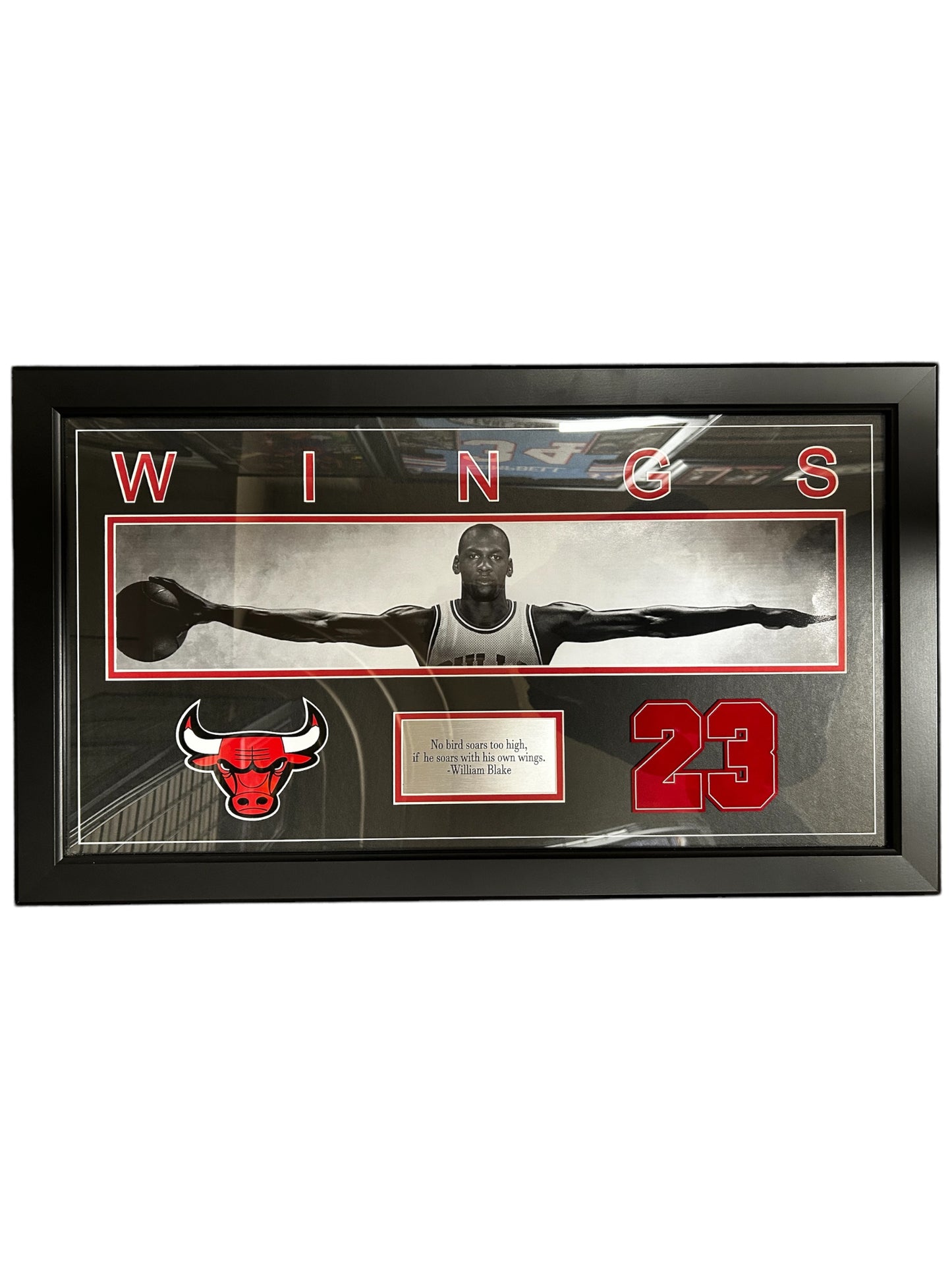 Michael Jordan WINGS (NS)