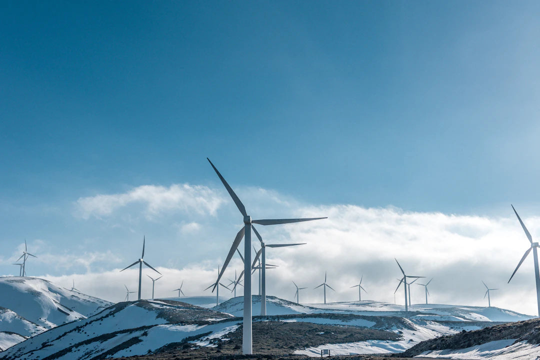 Justin Timberlake's Green Journey Current Environmental Efforts and Their Impact