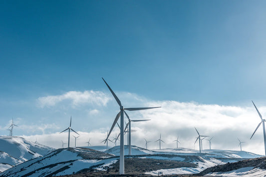 Justin Timberlake's Green Journey Current Environmental Efforts and Their Impact