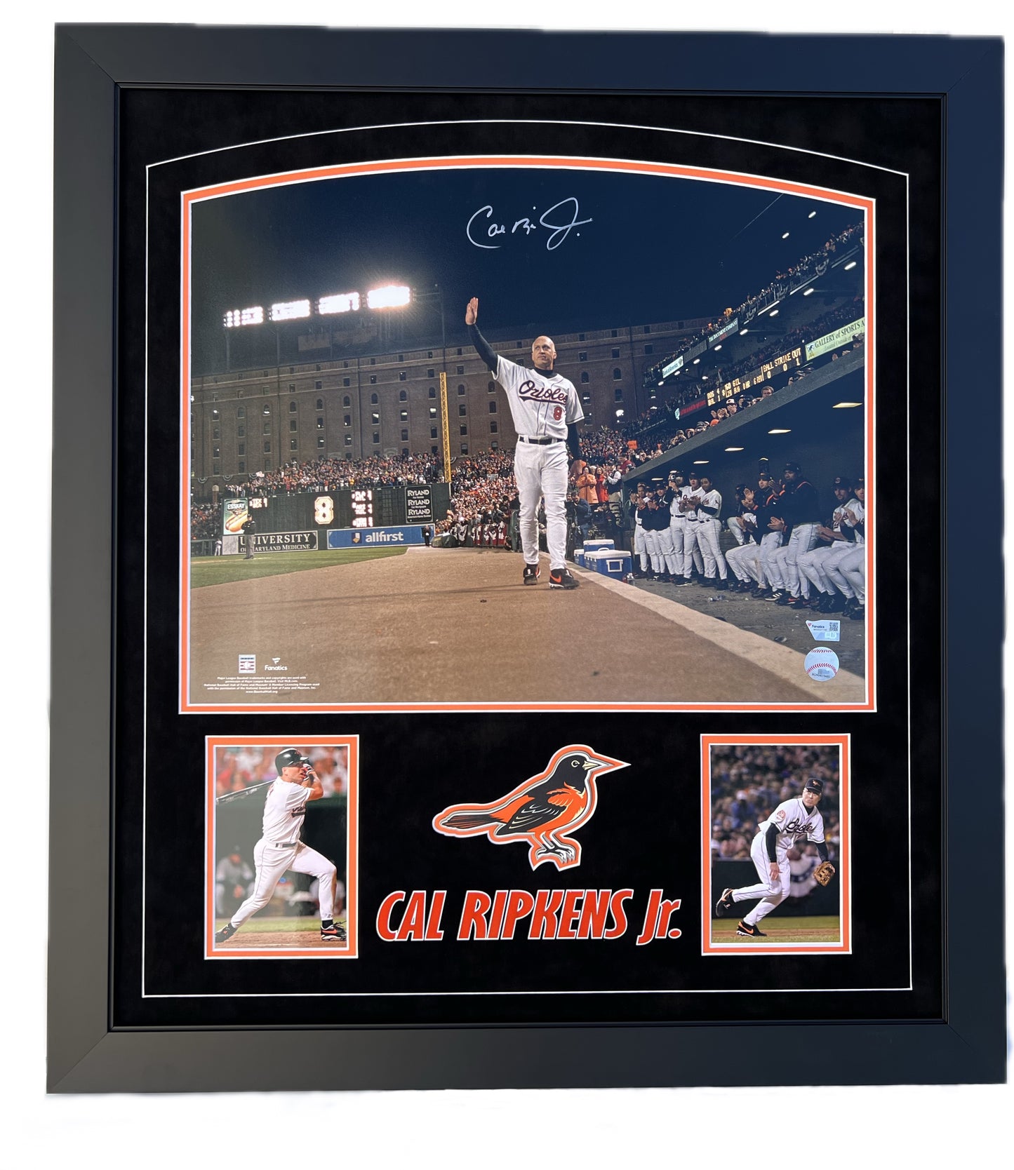 Cal Ripken Jr. (FSP)