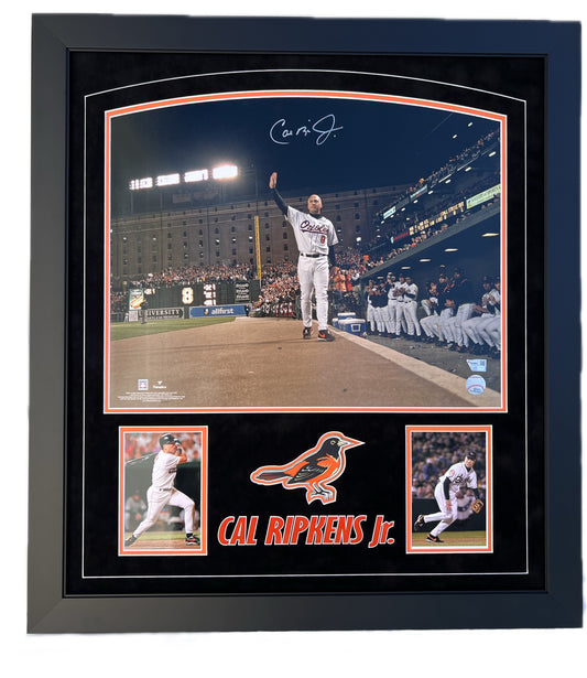 Cal Ripken Jr. (FSP)