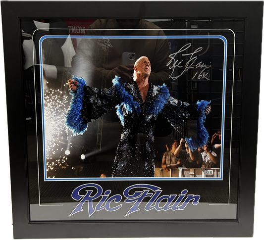 Ric Flair (FSP) 16x
