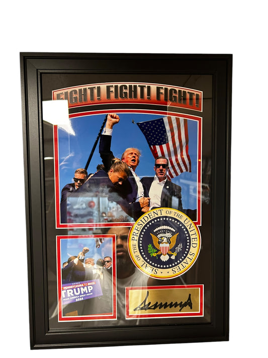 Donald J Trump Fight 12x (FAC)