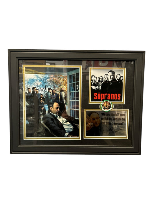 Sopranos 12x (FAC)
